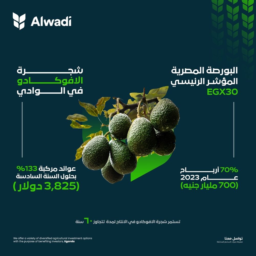 Alwadi — agricultural investment campaign creative