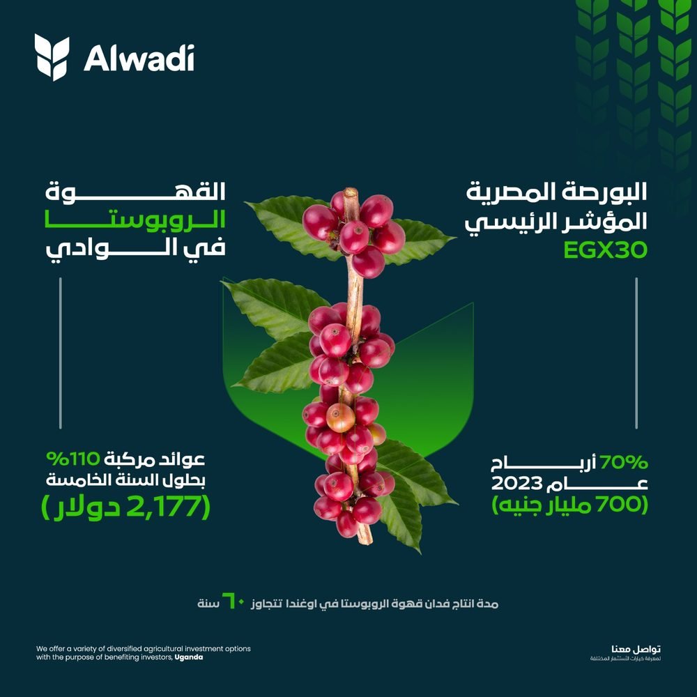 Alwadi — coffee investment creative